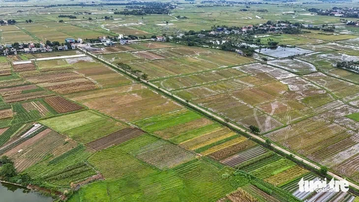 Giấy hồng chung của 8 người nhưng chỉ tìm được 7 người, làm sao gia hạn quyền sử dụng đất?