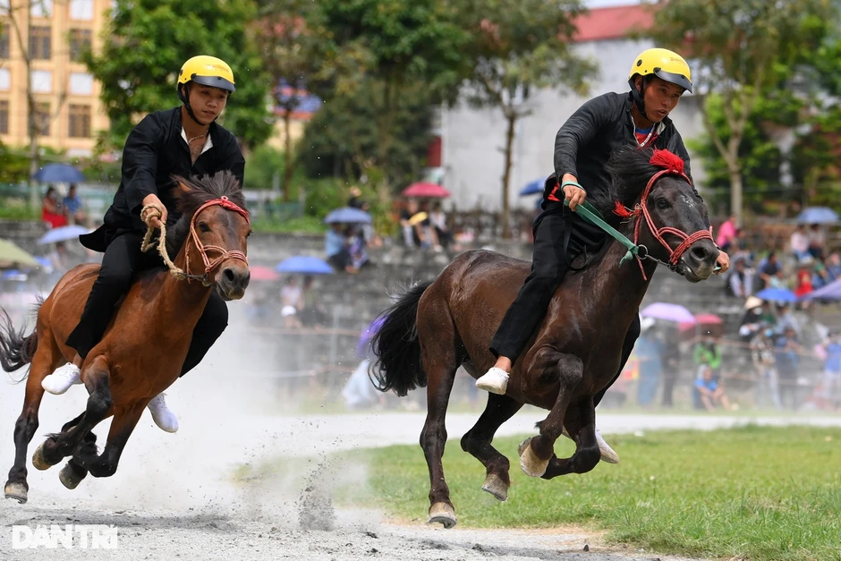 Hà Nội duyệt quy hoạch xây trường đua ngựa 420 triệu USD ở Sóc Sơn Hà Nội duyệt quy hoạch xây trường đua ngựa 420 triệu USD ở Sóc Sơn