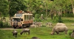 Hà Nội tiếp nhận ý kiến của người dân về dự án Safari Ba Vì