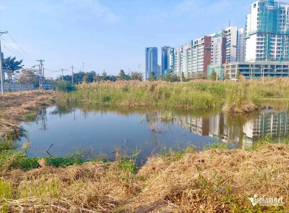 Hành trình đòi lại 2 tỷ đồng mua đất chưa có sổ đỏ tại TPHCM Hành trình đòi lại 2 tỷ đồng mua đất chưa có sổ đỏ tại TPHCM