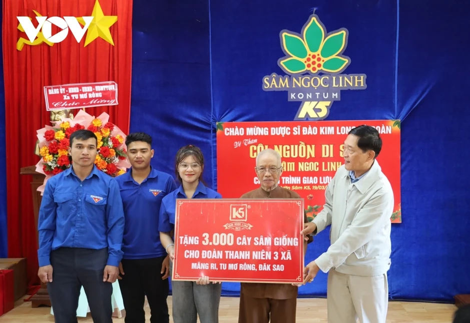 Hỗ trợ giống cây sâm Ngọc Linh giúp thanh niên Quảng Ngãi khởi nghiệp