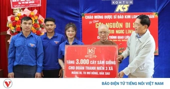 Hỗ trợ giống cây sâm Ngọc Linh giúp thanh niên Quảng Ngãi khởi nghiệp