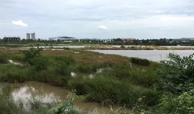 Hơn 2.000 ha đất bị loại khỏi danh sách thí điểm làm nhà ở thương mại Hơn 2.000 ha đất bị loại khỏi danh sách thí điểm làm nhà ở thương mại