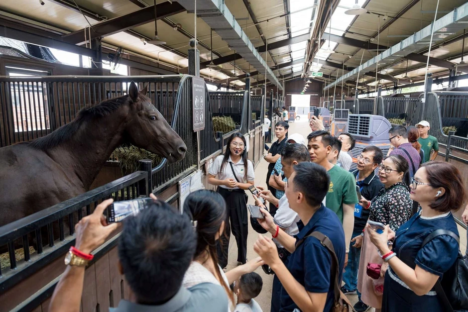 Hòn đảo ở ngã 3 sông được tỷ phú Phạm Nhật Vượng rót tiền vào: Đã xây 2 siêu công trình lớn nhất miền Bắc, có hạng mục lần đầu xuất hiện ở Việt Nam Hòn đảo ở ngã 3 sông được tỷ phú Phạm Nhật Vượng rót tiền vào: Đã xây 2 siêu công trình lớn nhất miền Bắc, có hạng mục lần đầu xuất hiện ở Việt Nam