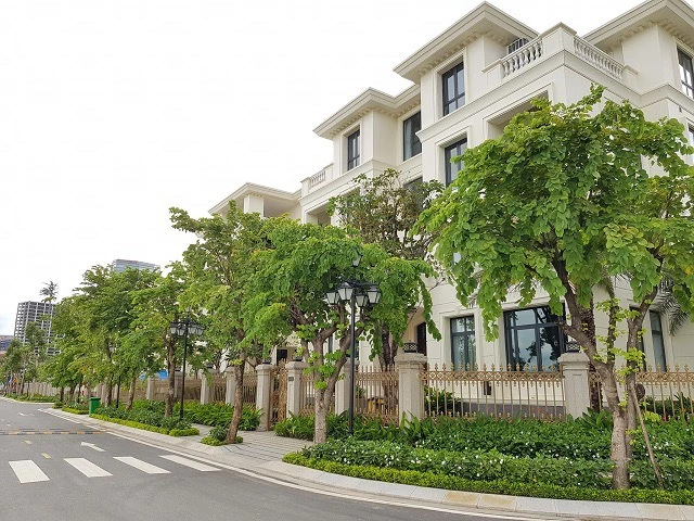 HoREA đề nghị bãi bỏ quy định “phân biệt” doanh nghiệp khi tiếp cận vốn vay HoREA đề nghị bãi bỏ quy định “phân biệt” doanh nghiệp khi tiếp cận vốn vay