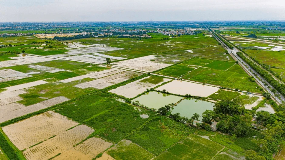 Khu đô thị 193ha nằm ở phía Nam Thủ đô liên quan đến “đại gia điếu cày” Lê Thanh Thản có diễn biến mới Khu đô thị 193ha nằm ở phía Nam Thủ đô liên quan đến “đại gia điếu cày” Lê Thanh Thản có diễn biến mới