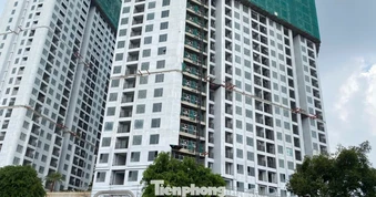 Lãi suất ảnh hưởng như thế nào đến thị trường nhà ở?