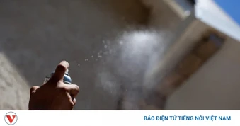 Làm gì khi thấy tổ ong bắp cày trong nhà?