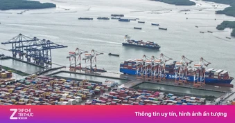Liên danh Geleximco sẽ lấn biển làm cảng Cái Mép Hạ gần 2 tỷ USD