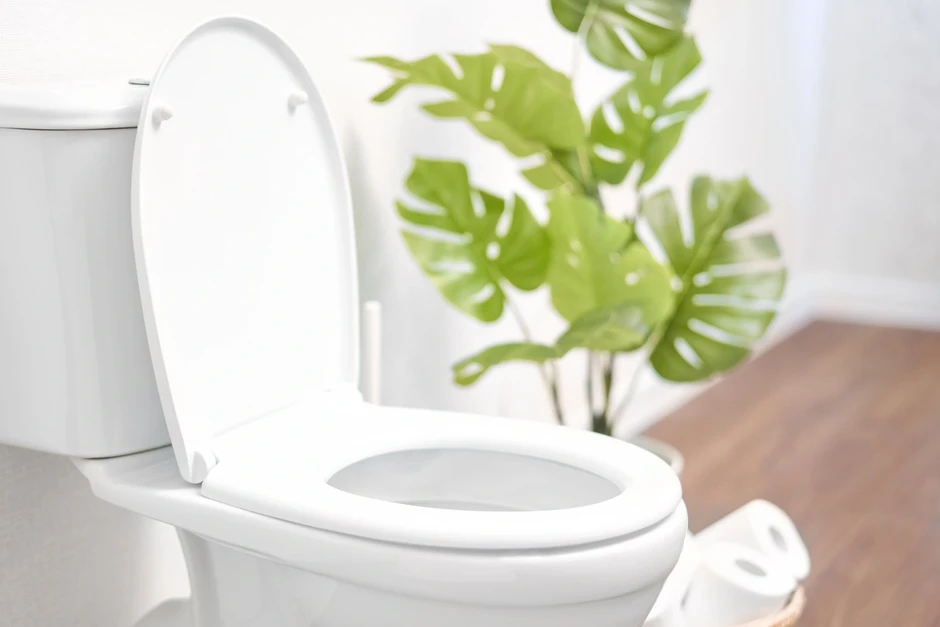 Mẹo tẩy sạch bồn cầu sáng bóng chỉ với chai giấm quen thuộc