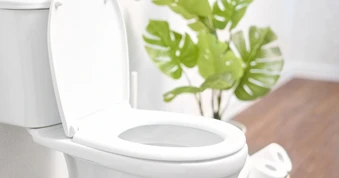 Mẹo tẩy sạch bồn cầu sáng bóng chỉ với chai giấm quen thuộc