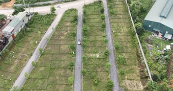 Mỗi một thửa đất chỉ có 1 mã định danh duy nhất, được mã hóa ra sao?