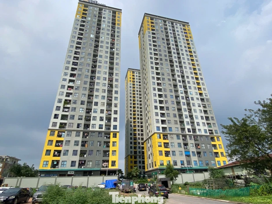 Nhà thương mại giá phù hợp khống chế lợi nhuận tối đa 15% Nhà thương mại giá phù hợp khống chế lợi nhuận tối đa 15%