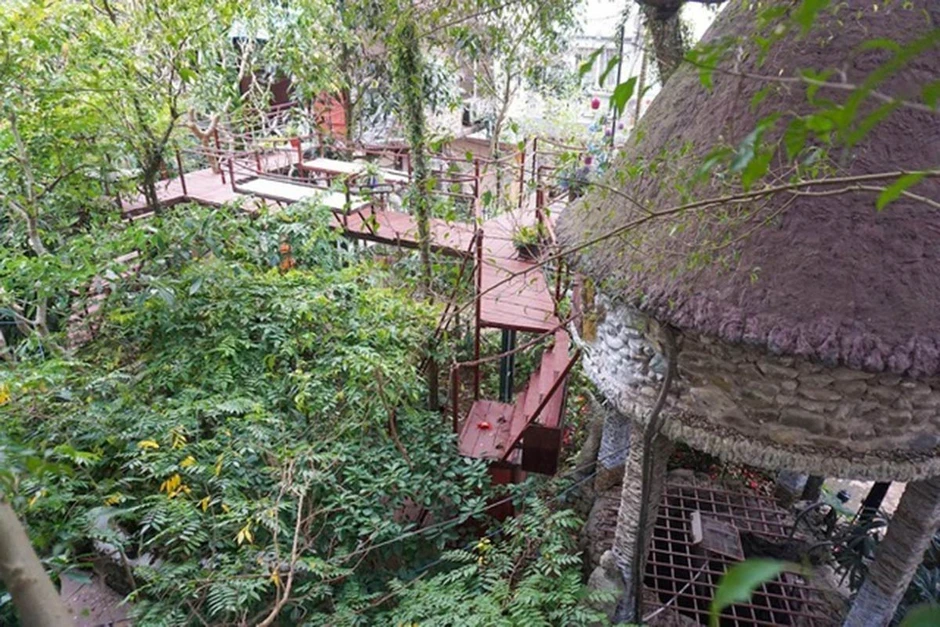 Những ngôi nhà 'độc và dị' nhất Việt Nam, kỳ quái 'ngôi nhà điên' ở Đà Lạt Những ngôi nhà 'độc và dị' nhất Việt Nam, kỳ quái 'ngôi nhà điên' ở Đà Lạt