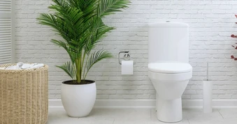 Nước trong bồn cầu có thể khiến nhà vệ sinh bốc mùi, xử lý ra sao?