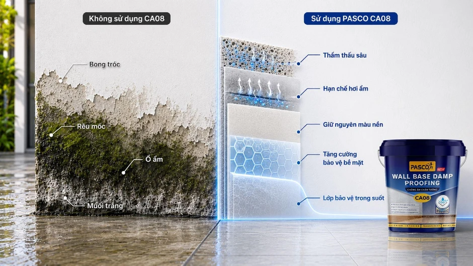 Pasco ra mắt CA08 - giải pháp mới cho nỗi lo ẩm chân tường trong công trình Việt
