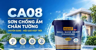 Pasco ra mắt CA08 - giải pháp mới cho nỗi lo ẩm chân tường trong công trình Việt