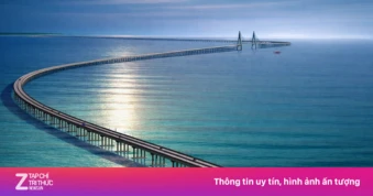Phương án làm cầu và hầm vượt biển nối Cần Giờ với Vũng Tàu