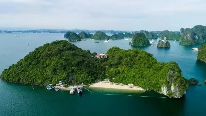 Quảng Ninh lại tính đấu thầu khai thác vịnh Hạ Long Quảng Ninh lại tính đấu thầu khai thác vịnh Hạ Long