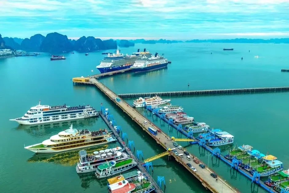 Quảng Ninh lại tính đấu thầu khai thác vịnh Hạ Long Quảng Ninh lại tính đấu thầu khai thác vịnh Hạ Long