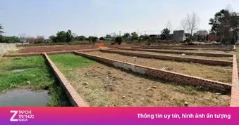 Rà soát diện rộng tình trạng phân lô bán nền tự phát