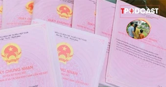 Sổ đỏ cấp sai diện tích nhưng đã chuyển nhượng, có bị thu hồi không?