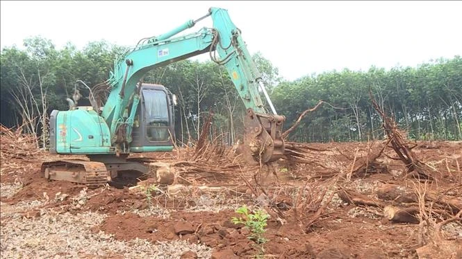 Tái định cư đồng bộ để giữ tiến độ cao tốc Quy Nhơn – Pleiku Tái định cư đồng bộ để giữ tiến độ cao tốc Quy Nhơn – Pleiku