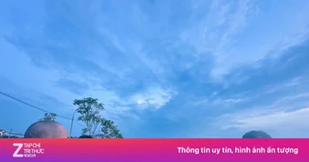 Tạm dừng đấu giá lô đất nông thôn giá khởi điểm hơn 5 tỷ đồng