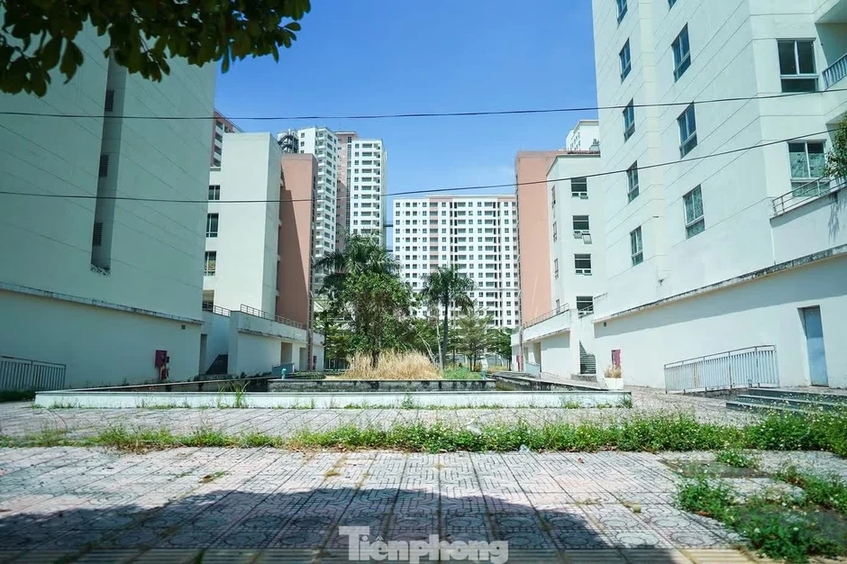 Tận thấy hàng nghìn căn hộ tái định cư hoang vắng ở TP.HCM Tận thấy hàng nghìn căn hộ tái định cư hoang vắng ở TP.HCM
