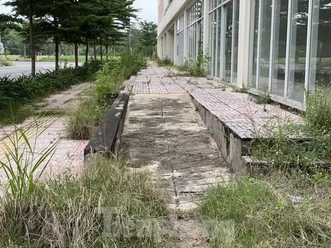 Tận thấy hàng nghìn căn hộ tái định cư hoang vắng ở TP.HCM Tận thấy hàng nghìn căn hộ tái định cư hoang vắng ở TP.HCM