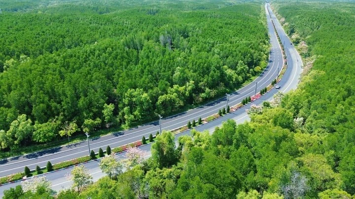 Tập đoàn của tỷ phú Phạm Nhật Vượng muốn mở rộng tuyến đường độc đạo, nối thẳng tới siêu dự án 10 tỷ USD Tập đoàn của tỷ phú Phạm Nhật Vượng muốn mở rộng tuyến đường độc đạo, nối thẳng tới siêu dự án 10 tỷ USD