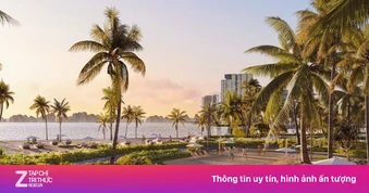 The Spotlight Collection - vị thế 'tâm điểm' khơi mở đầu tư bền vững