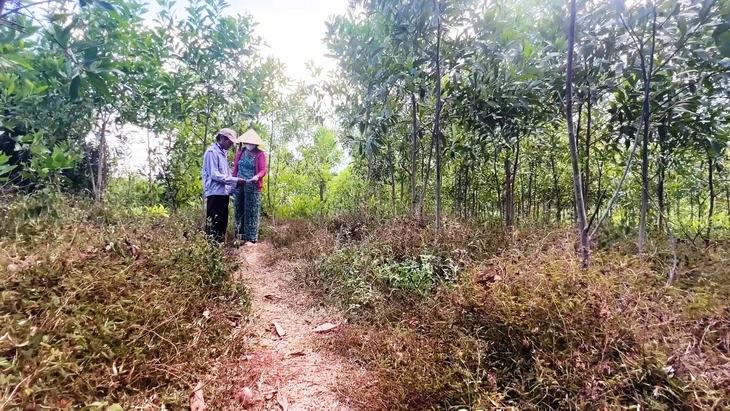 Thu hồi dự án FLC nhưng 'quên' hủy quyết định thu hồi đất: sẽ rà soát, xử lý Thu hồi dự án FLC nhưng 'quên' hủy quyết định thu hồi đất: sẽ rà soát, xử lý