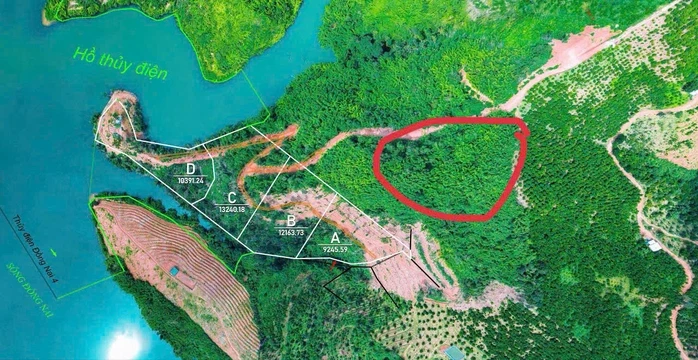 Tin vui cho người mua "đất giấy tay" trước 2024 Tin vui cho người mua "đất giấy tay" trước 2024