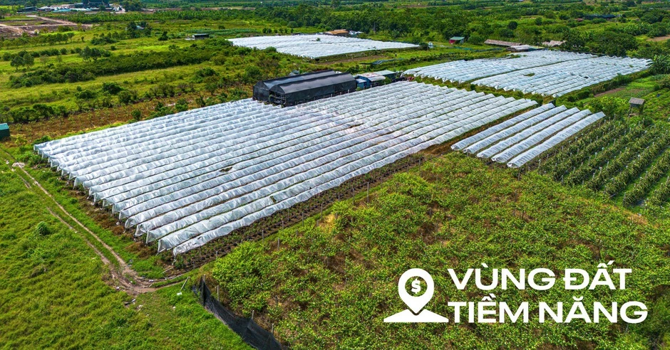Toàn cảnh khu đất ven sông Hồng, nơi có thể xây tháp đôi nhiều tầng nhất thế giới, diện tích sàn gấp hơn 2 lần Burj Khalifa Toàn cảnh khu đất ven sông Hồng, nơi có thể xây tháp đôi nhiều tầng nhất thế giới, diện tích sàn gấp hơn 2 lần Burj Khalifa
