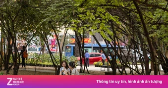 TP.HCM: Không xây thêm chung cư, dành đất làm công viên ở trung tâm thành phố