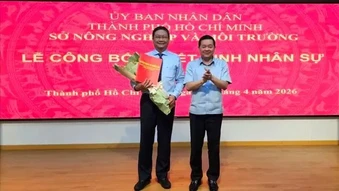 TPHCM kiện toàn nhân sự hệ thống văn phòng đăng ký đất đai