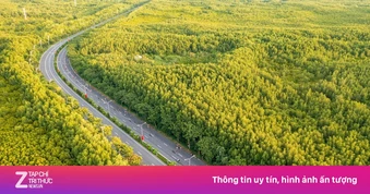 TP.HCM thúc giải phóng mặt bằng tuyến metro Bến Thành - Cần Giờ