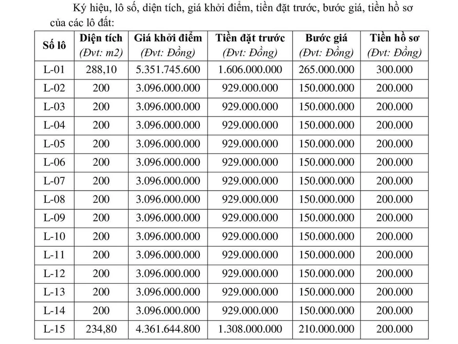 Vì sao đất nông thôn ở Hà Tĩnh có giá đấu khởi điểm hơn 5,3 tỷ đồng?