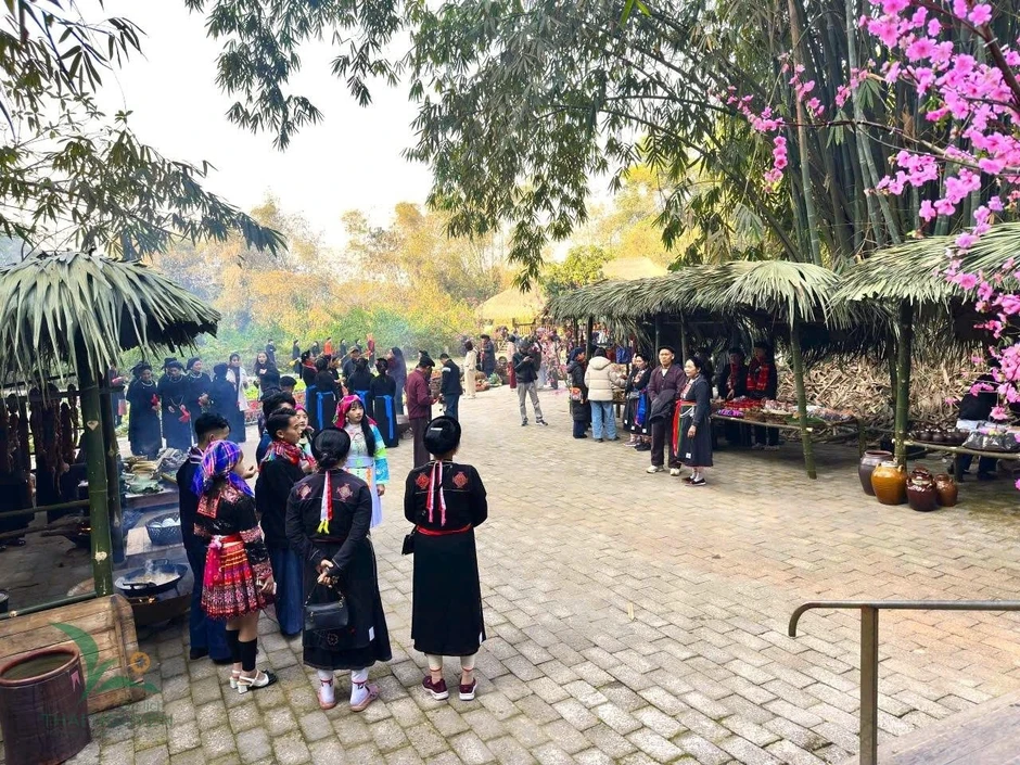 Việt Nam có 1 ngôi làng gần 200 người "ăn chung nồi cơm, tiêu chung túi tiền": Xanh mát như ốc đảo, được công nhận "Làng du lịch tốt nhất thế giới" Việt Nam có 1 ngôi làng gần 200 người "ăn chung nồi cơm, tiêu chung túi tiền": Xanh mát như ốc đảo, được công nhận "Làng du lịch tốt nhất thế giới"