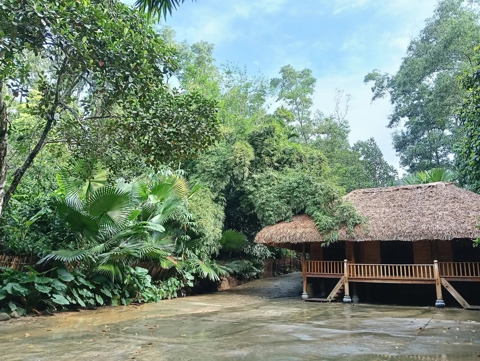 Việt Nam có 1 ngôi làng gần 200 người "ăn chung nồi cơm, tiêu chung túi tiền": Xanh mát như ốc đảo, được công nhận "Làng du lịch tốt nhất thế giới" Việt Nam có 1 ngôi làng gần 200 người "ăn chung nồi cơm, tiêu chung túi tiền": Xanh mát như ốc đảo, được công nhận "Làng du lịch tốt nhất thế giới"