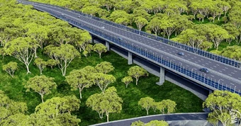 Việt Nam đang xây dựng tuyến đường xuyên rừng nguyên sinh dài 13km, kết nối cầu Mã Đà với Vành đai 4 TP.HCM, lần đầu tiên áp dụng một công nghệ đặc biệt