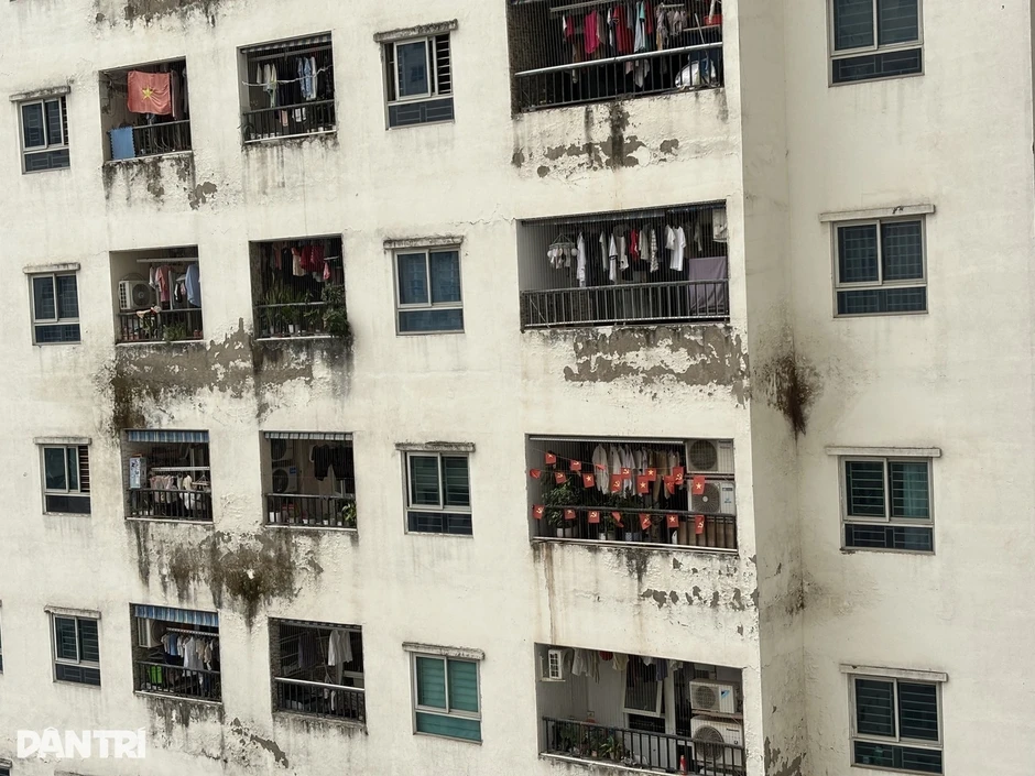 Vụ HH Linh Đàm lấy ý kiến trả nhà, hoàn tiền: Những tranh luận từ độc giả Vụ HH Linh Đàm lấy ý kiến trả nhà, hoàn tiền: Những tranh luận từ độc giả