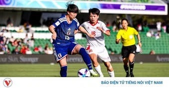 Bảng xếp hạng FIFA mới nhất: ĐT nữ Việt Nam tụt hạng nhưng vẫn top 1 Đông Nam Á