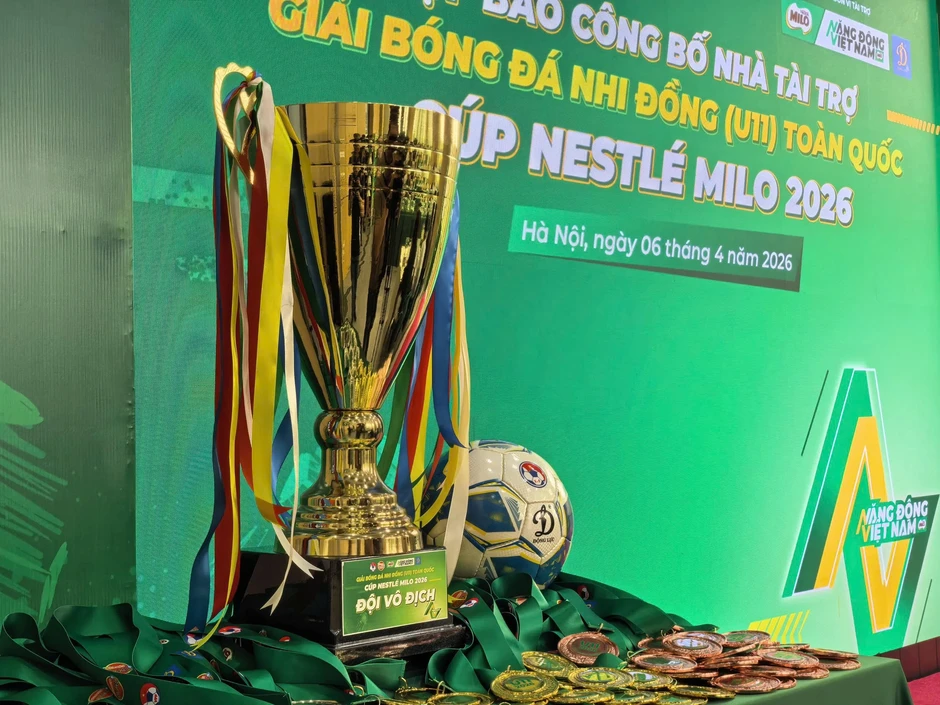 Lần đầu đăng ký hồ sơ giải U9, U11 vào hệ thống FIFA Connect Việt Nam Lần đầu đăng ký hồ sơ giải U9, U11 vào hệ thống FIFA Connect Việt Nam