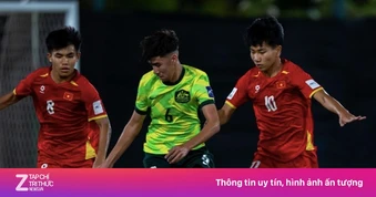Phản ứng của fan Đông Nam Á khi U17 Việt Nam thua Australia