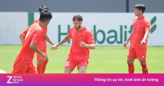 Tình hình lực lượng của tuyển Việt Nam