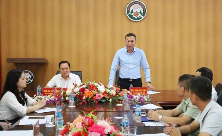 VFF hỗ trợ địa phương phát triển bóng đá trẻ, hướng tới đăng cai giải quốc gia VFF hỗ trợ địa phương phát triển bóng đá trẻ, hướng tới đăng cai giải quốc gia