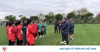 Lịch thi đấu và trực tiếp bóng đá Việt Nam hôm nay 12/3