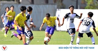 Lịch thi đấu và trực tiếp bóng đá Việt Nam hôm nay 14/5
